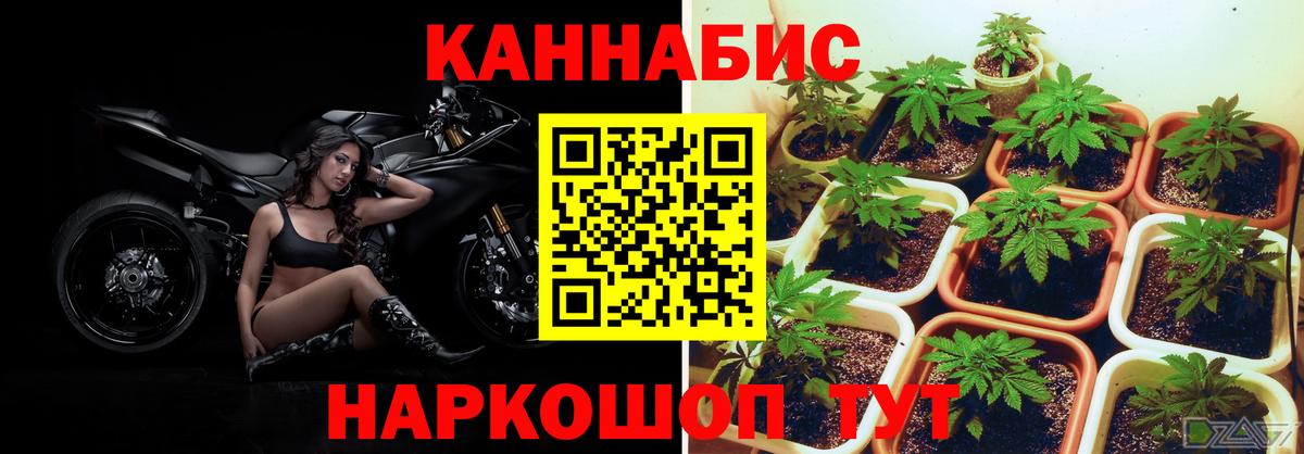 Марихуана конопля  Вход с VPN  Бошки Шишки OG Kush  Полысаево 